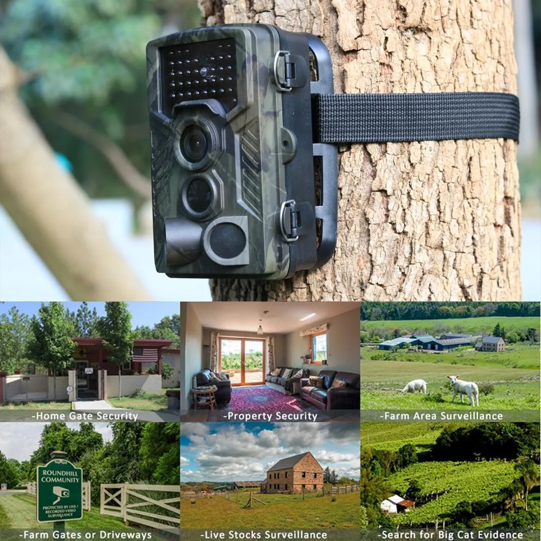8mp Waterproof Trail Camera with Night Vision and Wide Angle Lcd