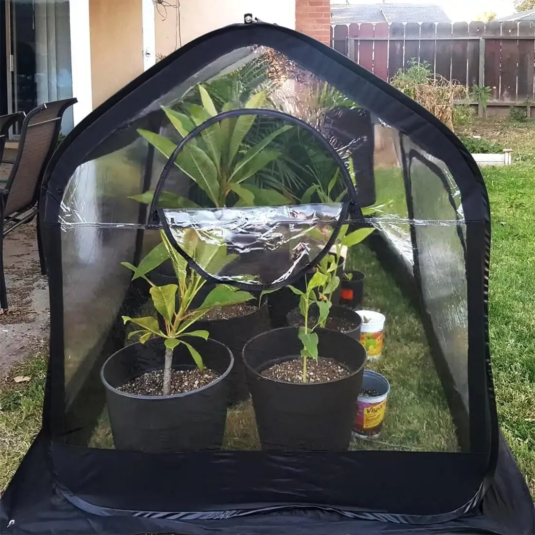 98" x 49" x 53" Small Greenhouse