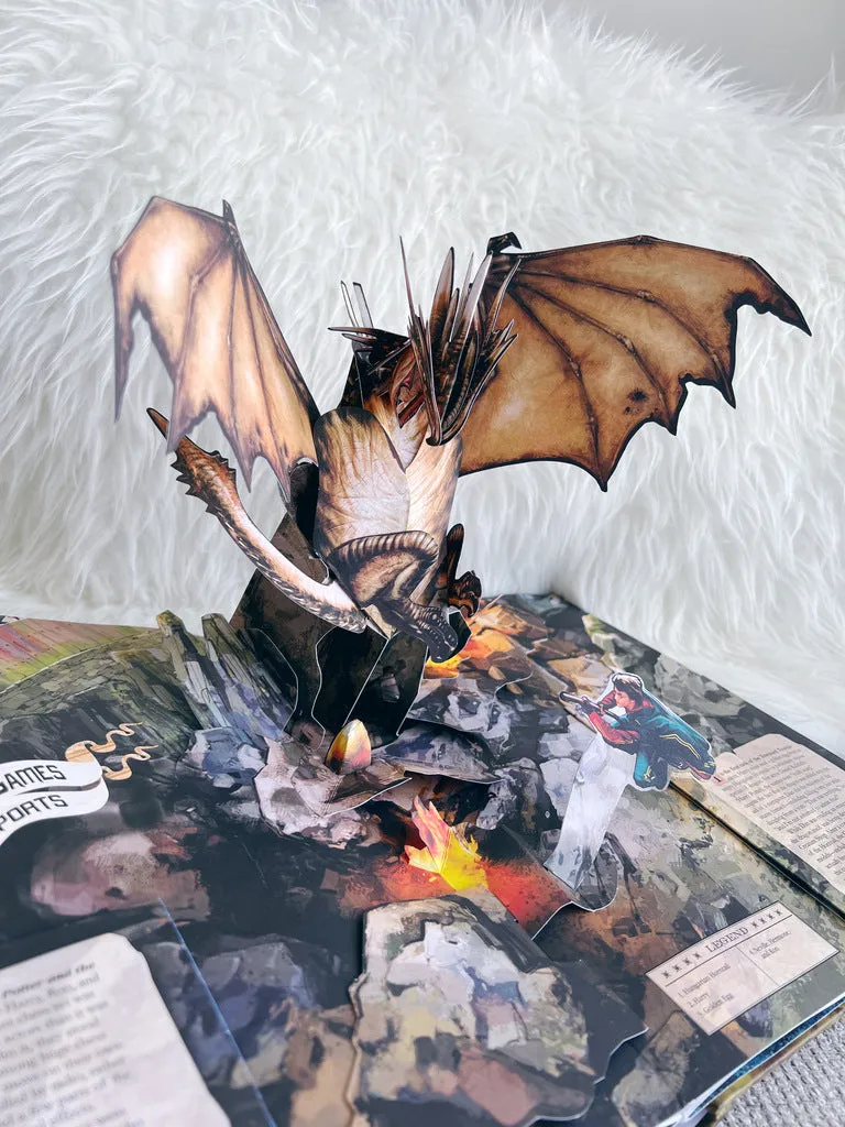Harry Potter: A Pop-Up Book: Based on the Film Phenomenon